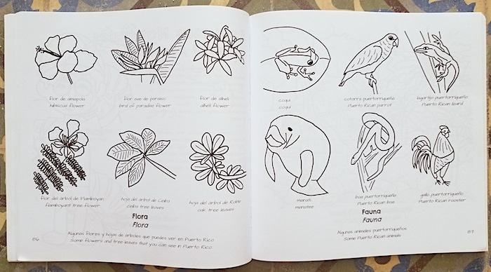 Learn about puerto rico with this bilingual coloring workbook