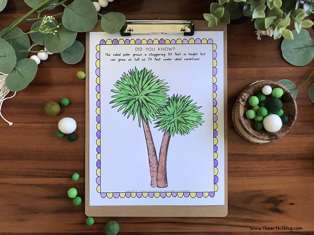 Sabal palm coloring page free printable â the art kit