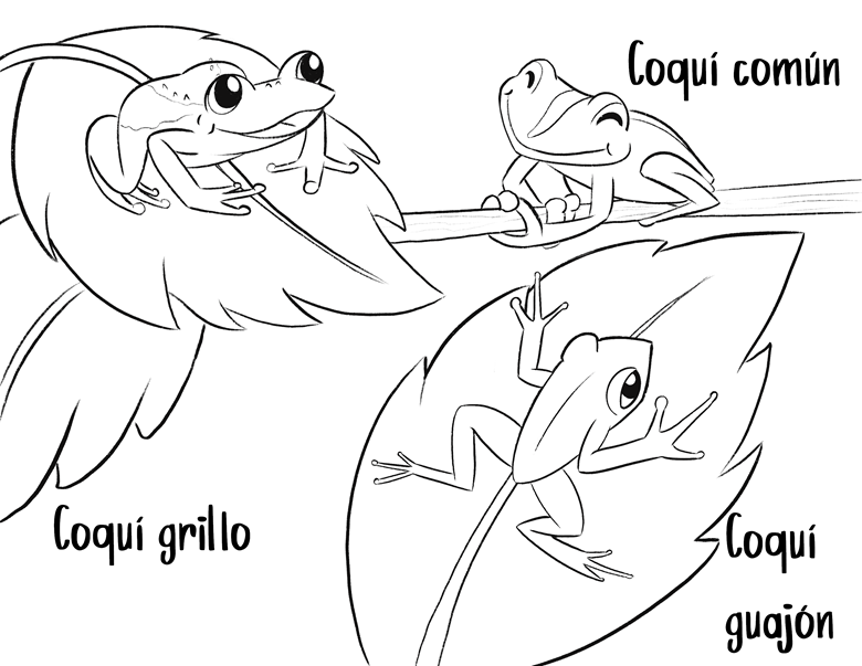 Animals of puerto rico coloring book