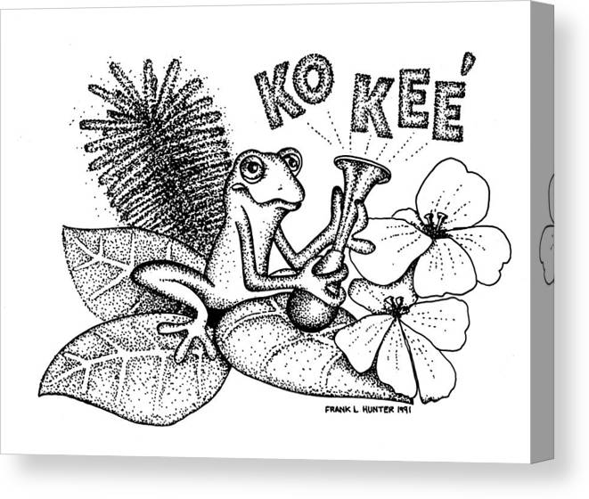 Tree frog of puerto rico canvas print canvas art by frank hunter