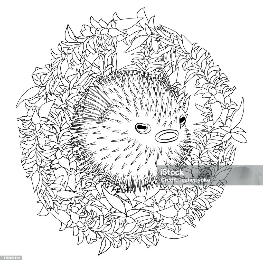 Coloring page with puffer fish in patterned style stock illustration