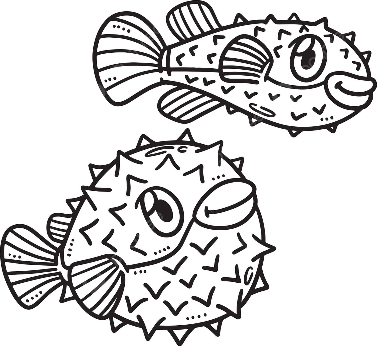 Baby pufferfish isolated coloring page for kids colouring page color design vector colouring page color design png and vector with transparent background for free download