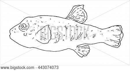 Isolated vector vector photo free trial bigstock