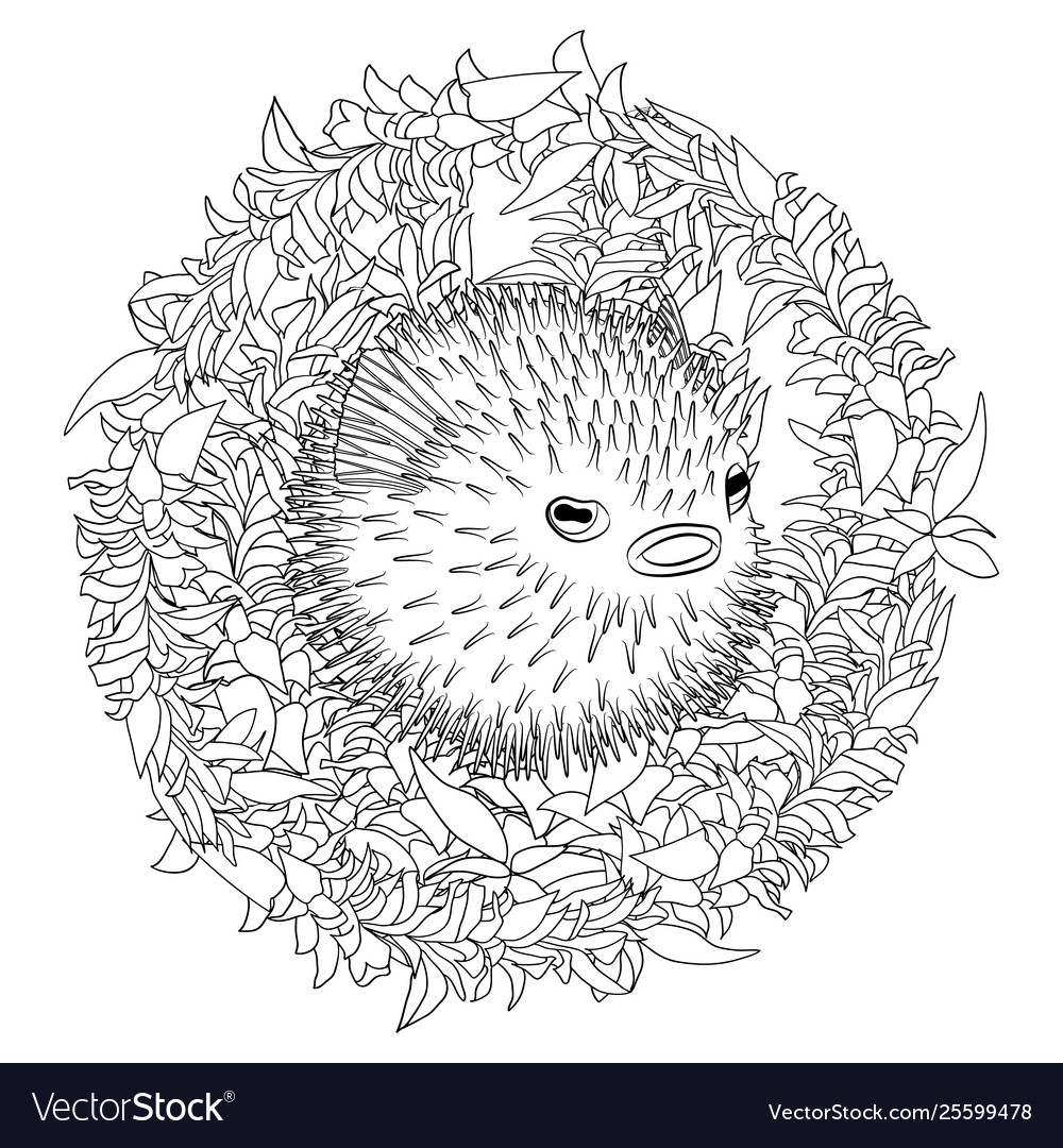 Coloring page with puffer fish in patterned style vector image