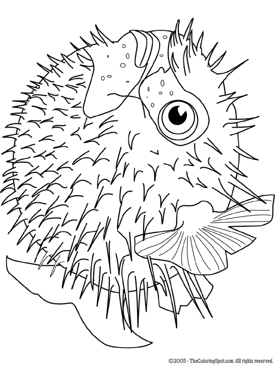 Blowfish coloring page audio stories for kids free coloring pages colouring printables