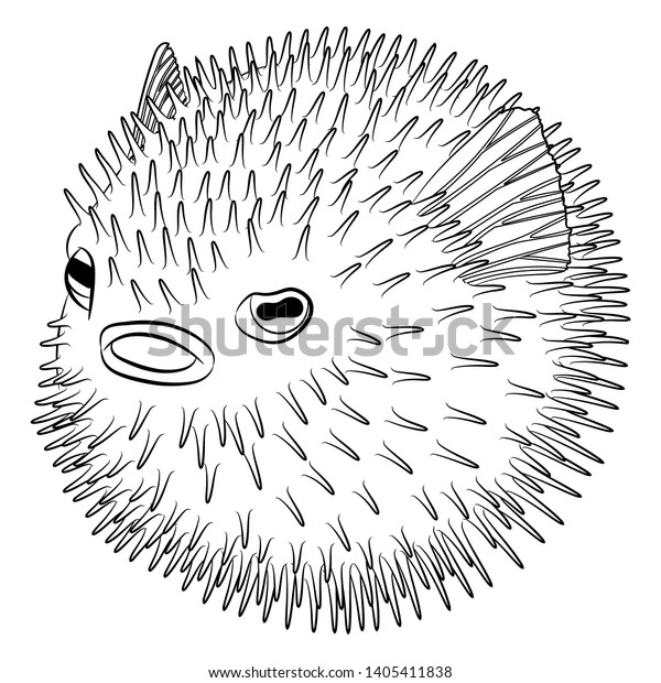 Coloring page puffer fish patterned style stock vector royalty free