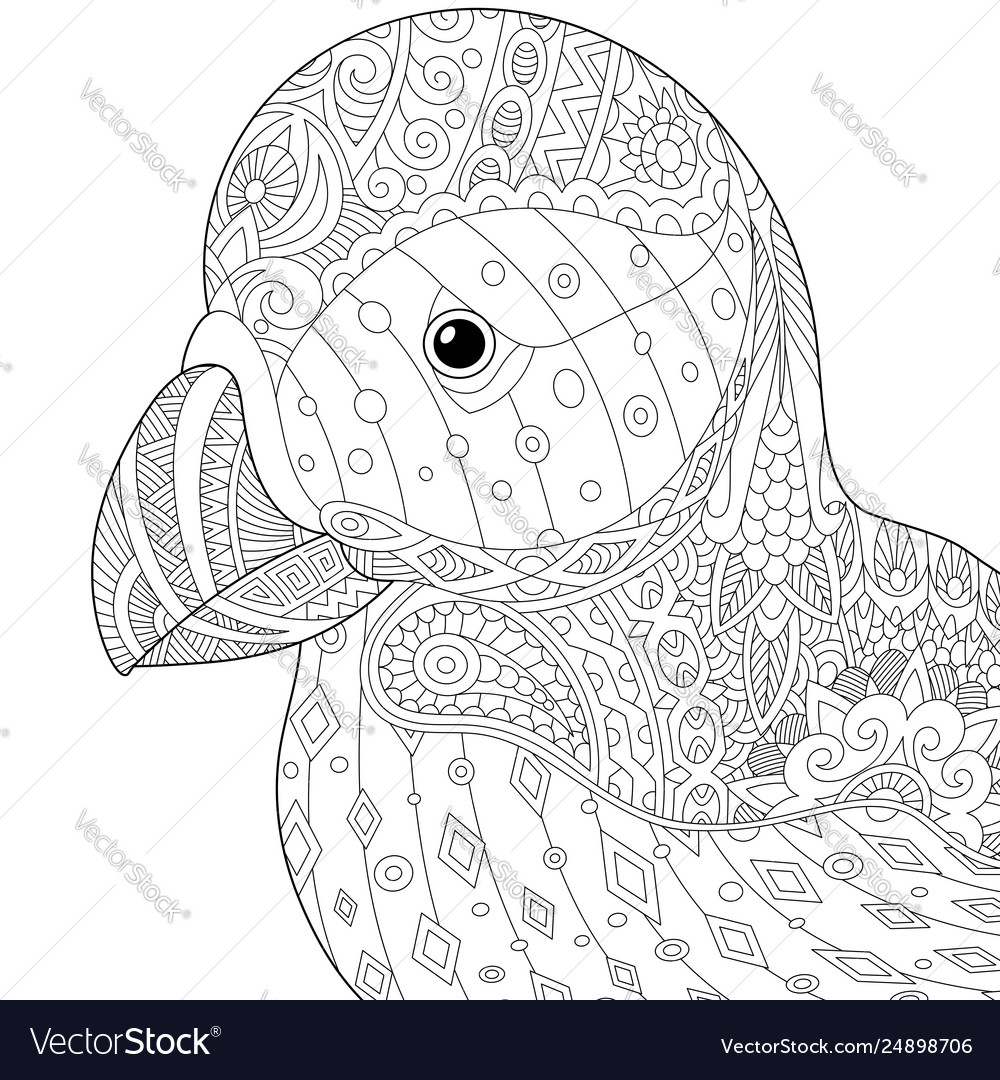 Puffin bird adult coloring page royalty free vector image