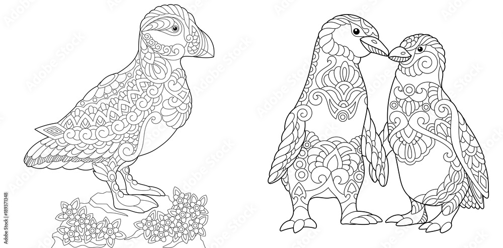 Coloring page adult coloring book puffin seabird of north pacific and atlantic oceans emperor penguins couple in love antistress freehand sketch collection with doodle and zentangle elements vector