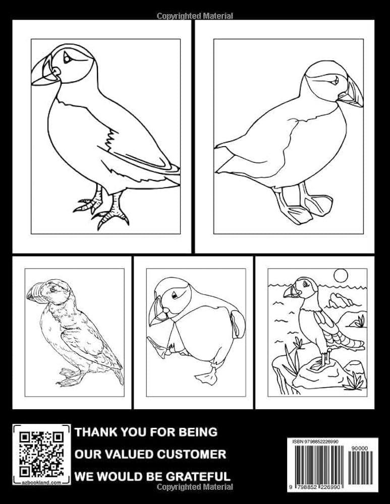 Puffin for kids coloring book fun and easy coloring pages in cute style for all ages to relax and unwind poole marion books