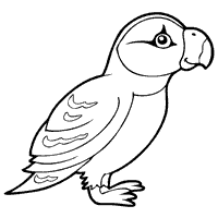 Precious puffin coloring pages