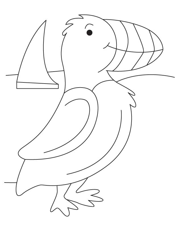 Puffin on seashore coloring page download free puffin on seashore coloring page for kids best coloring pages