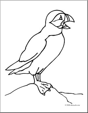 Clip art puffin coloring page i