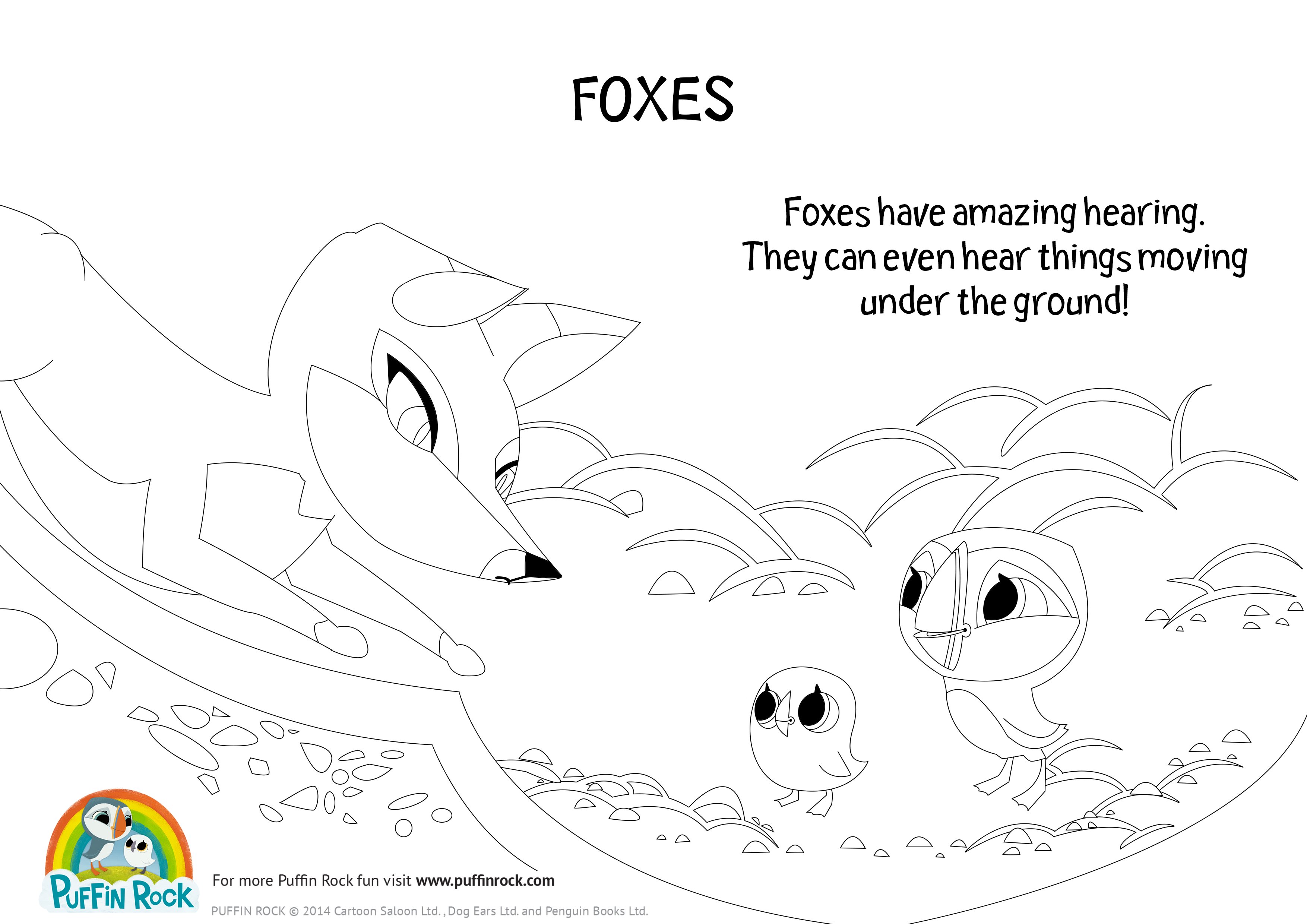 Puffin rock on x feeling foxy check out our fox facts colouring pages ð httpstcovpanzubs x