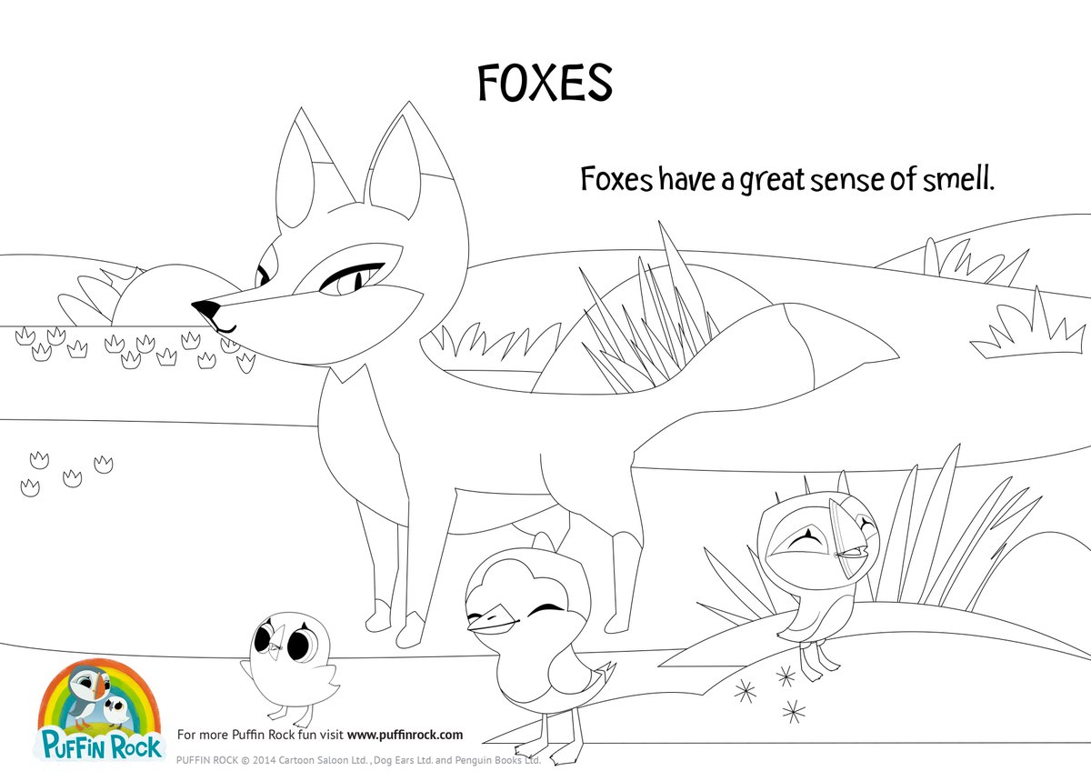 Puffin rock on x feeling foxy check out our fox facts colouring pages ð httpstcovpanzubs x