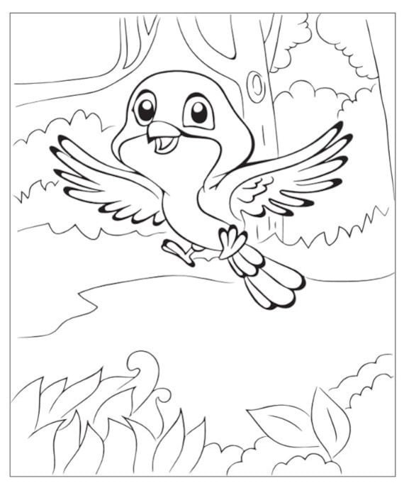 Coloring pages cartoon birds download now