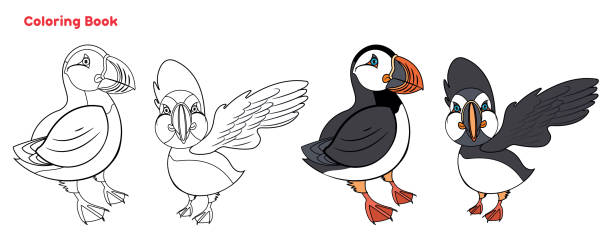 Cute atlantic puffin coloring book stock illustration