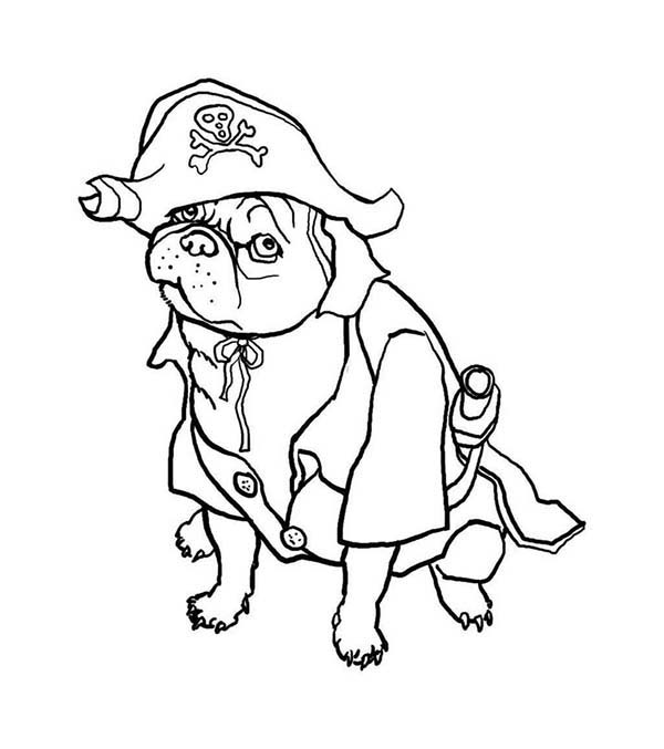 Pug the dog pirate coloring page color luna