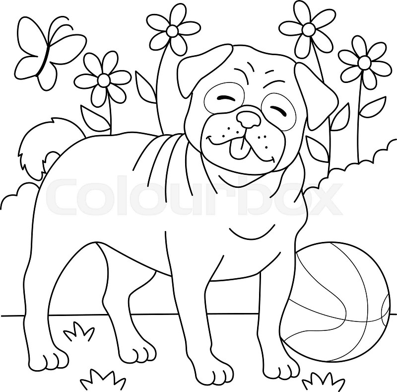Pug dog coloring page for kids stock vector