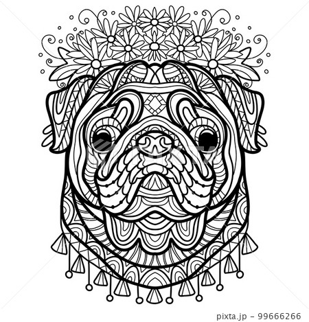Coloring book page pug dog vector illustration