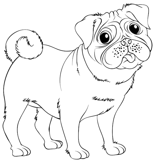 Pug coloring images