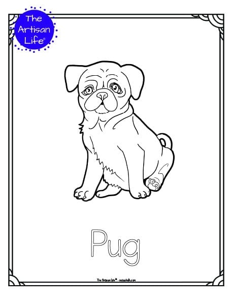 Free printable dog breed coloring pages for kids