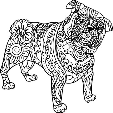 Little pug on white background freehand sketch for adult anti stress coloring book page with doodle and zentangle elements vector
