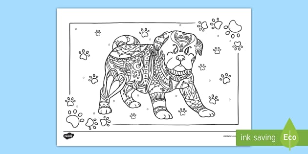 Pug mindfulness colouring teacher made
