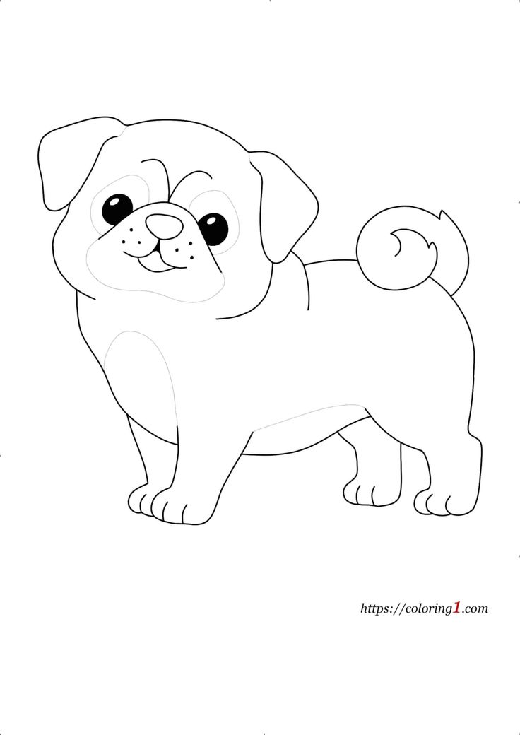 Pug dog coloring pages