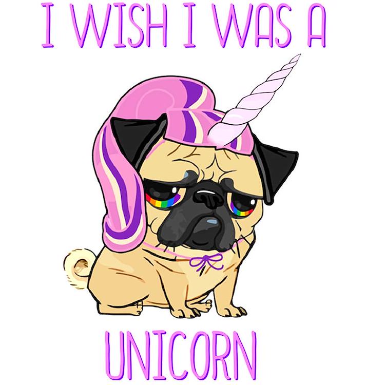 Pug unicorn picture frame