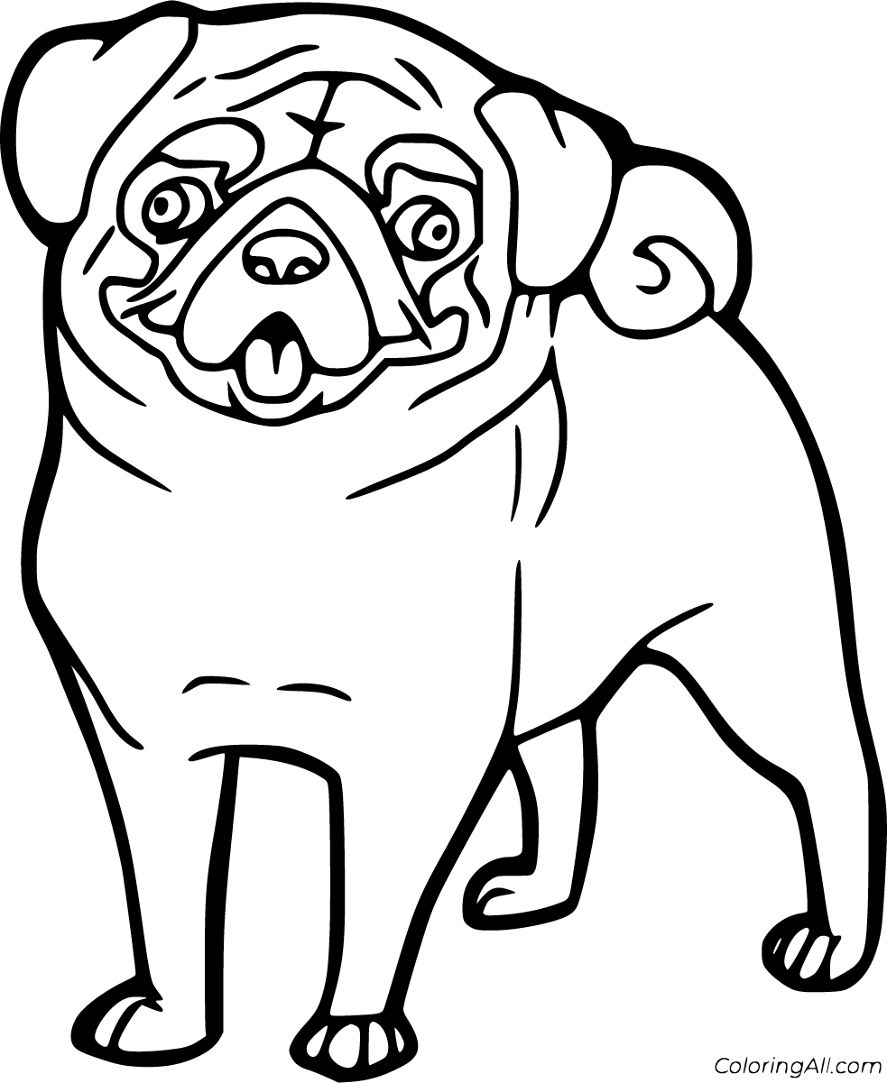 Pug coloring pages