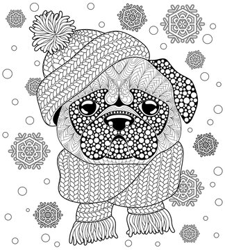 Pug dog with knitted hat and scarf tattoo or adult antistress coloring page black and white hand drawn doodle for coloring book vector