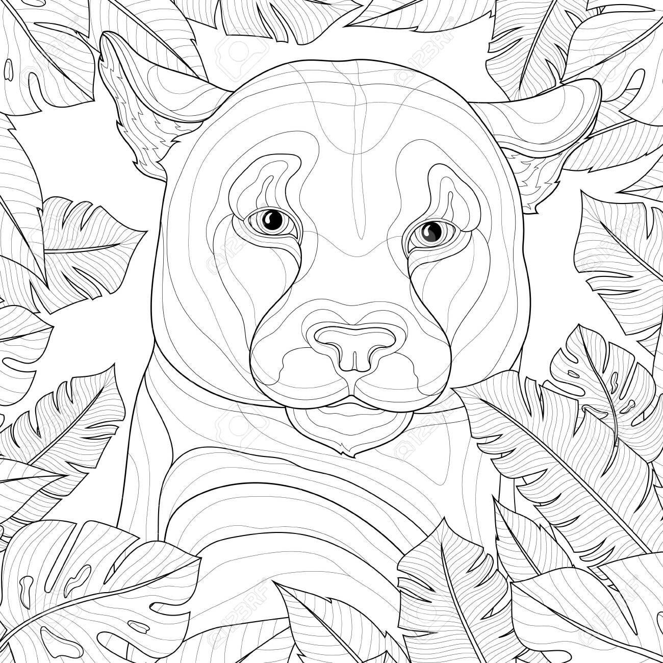 Puma among tropical leaves animalcoloring book antistress for children and adults zen