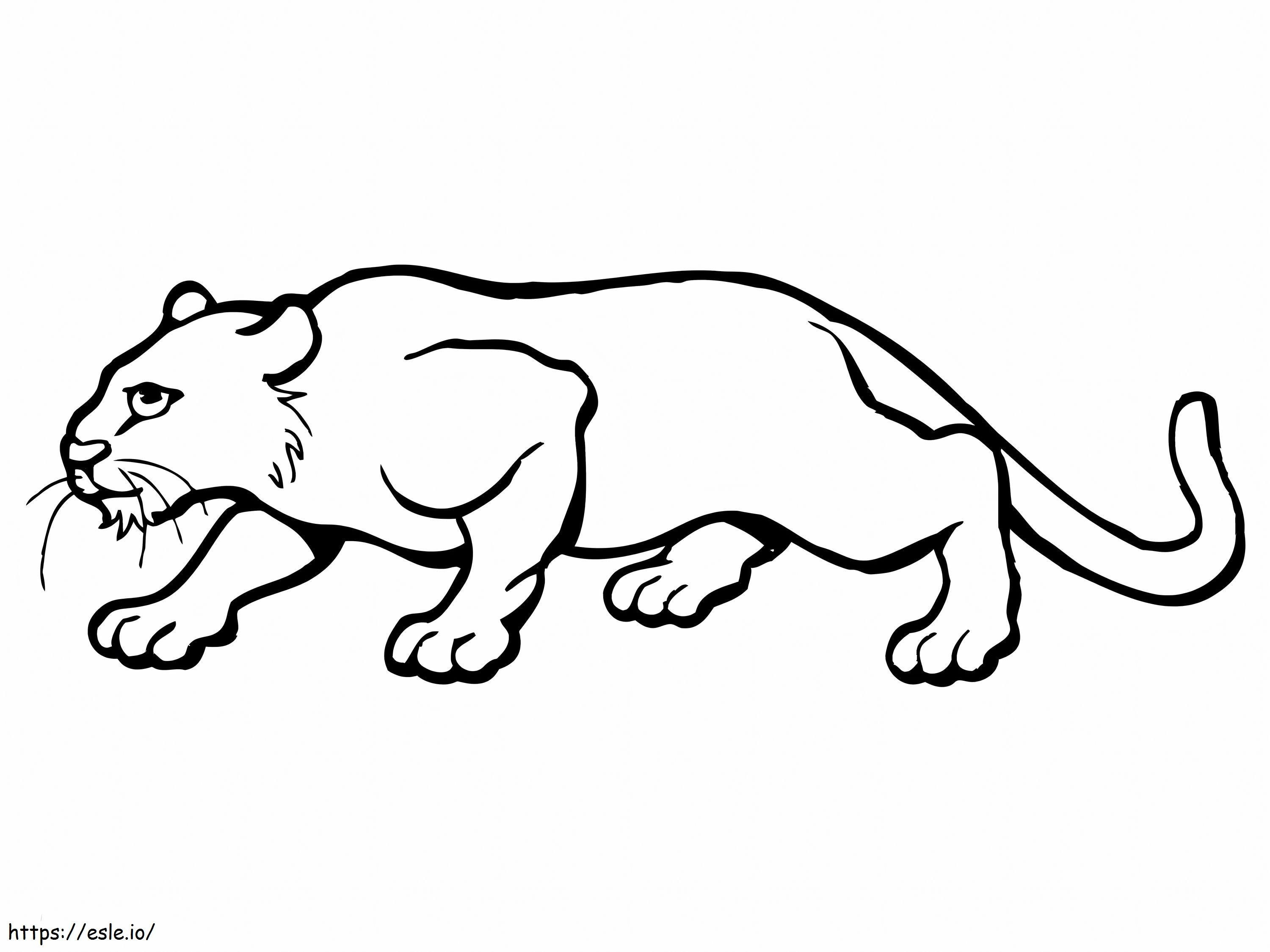 Cougar perfect coloring page