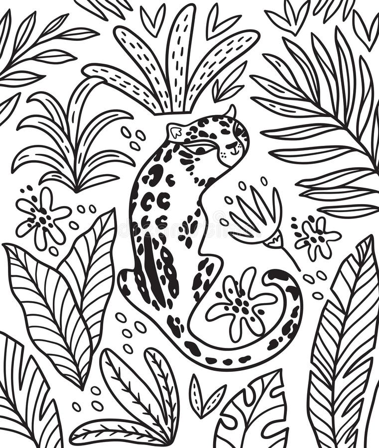 Hand drawn puma stock illustrations â hand drawn puma stock illustrations vectors clipart