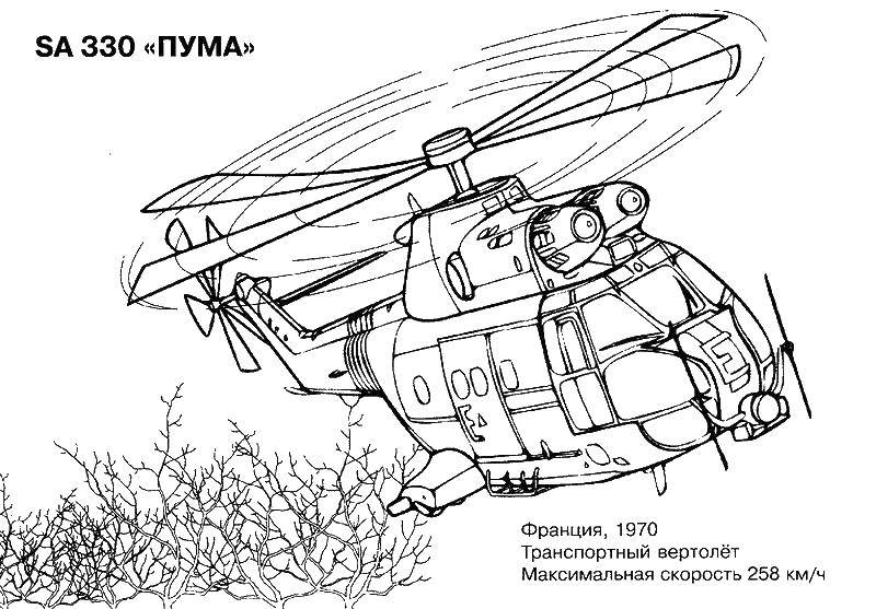 Online coloring pages coloring page helicopter puma helicopters download print coloring page