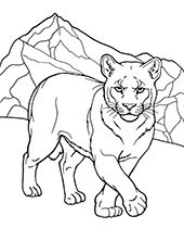 Puma coloring page cougar