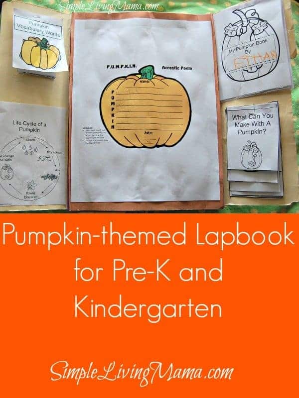 Pumpkin themed lapbook for pre