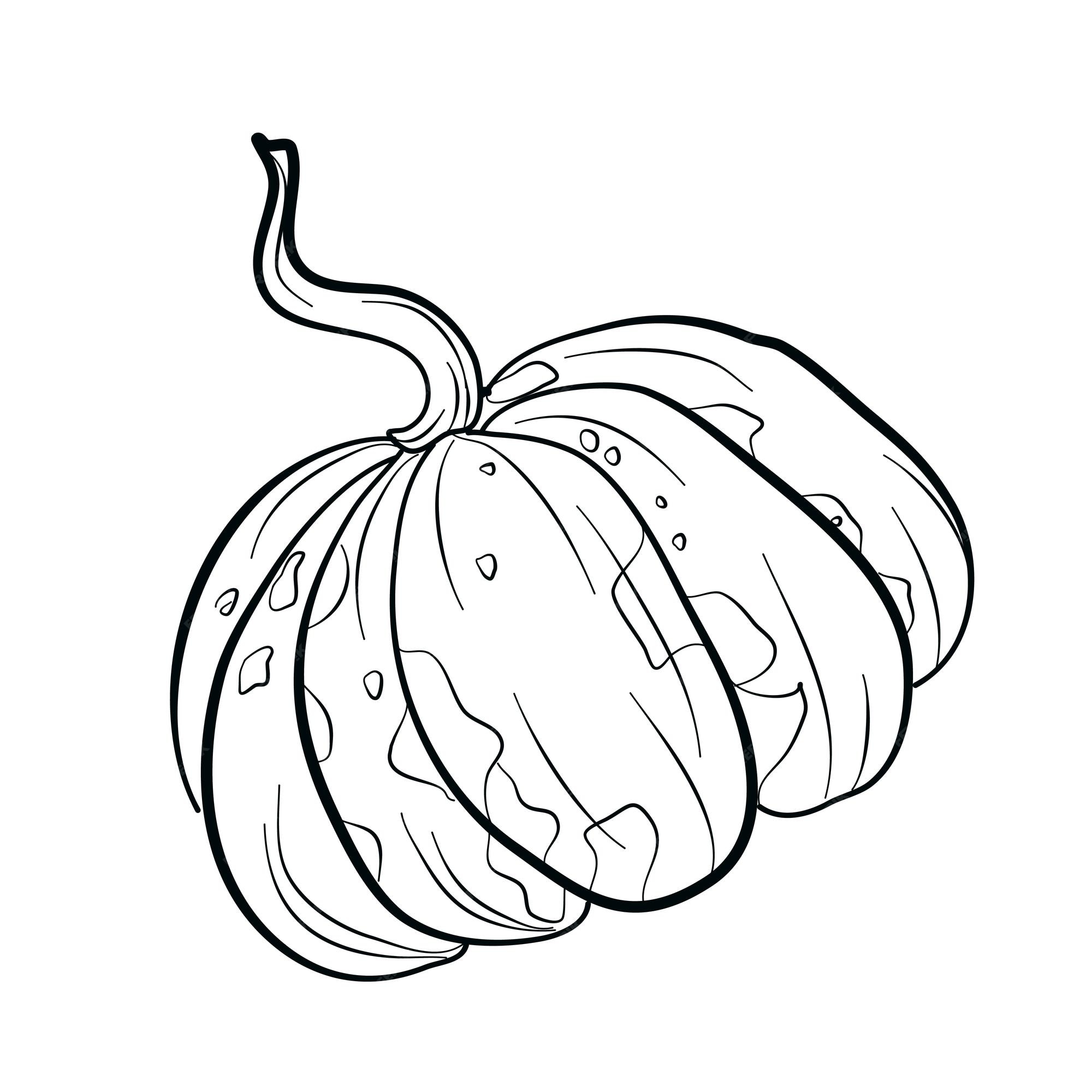Premium vector pumpkin doodle vector illustration coloring book coloring page
