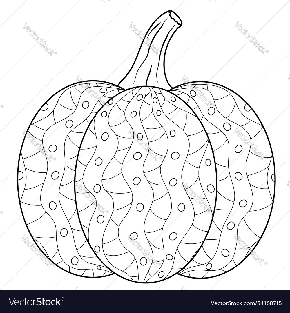 Ripe pumpkin with ornament coloring book page vector image