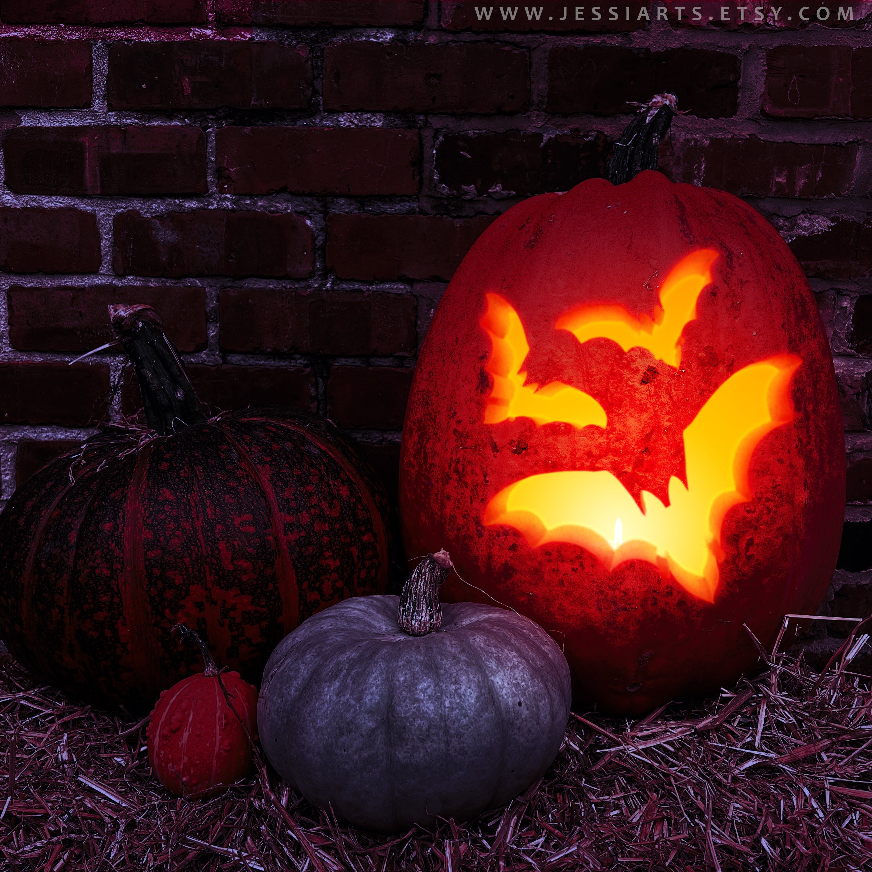 Printable bat pumpkin carving stencil halloween pumpkin carving template flying bat pumpkin carving