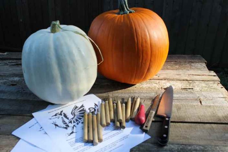 Free printable welsh pumpkin stencils for halloween