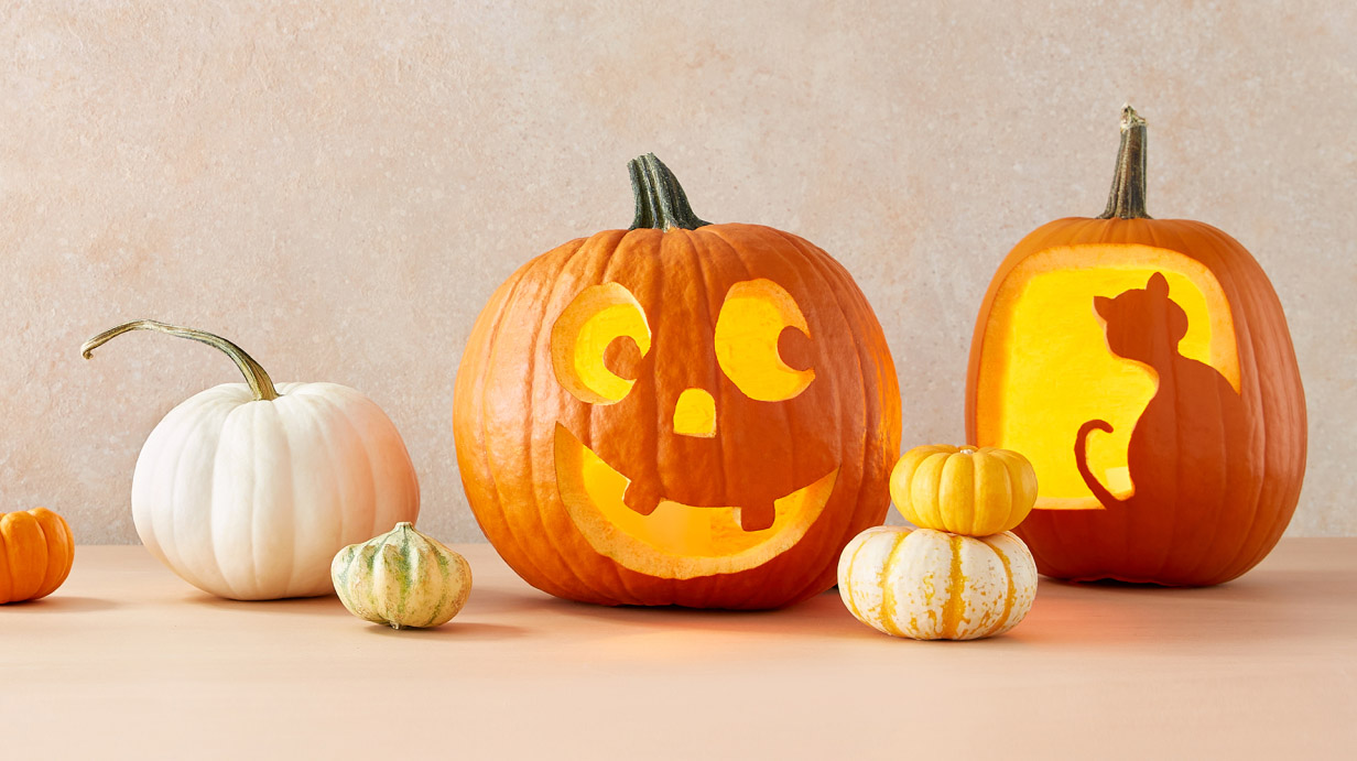 Pumpkin everything
