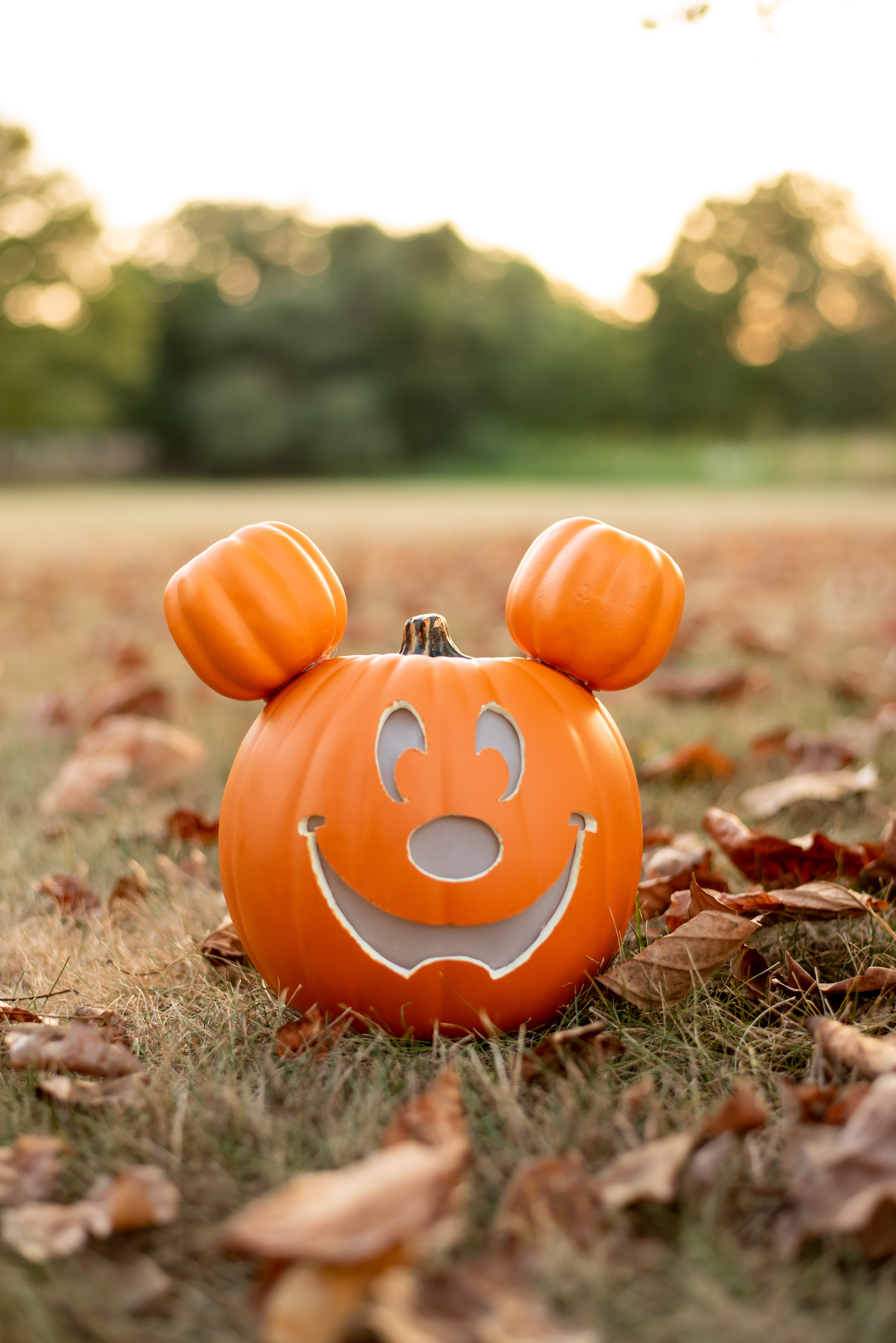 Diy mickey mouse pumpkin from main street free stencil