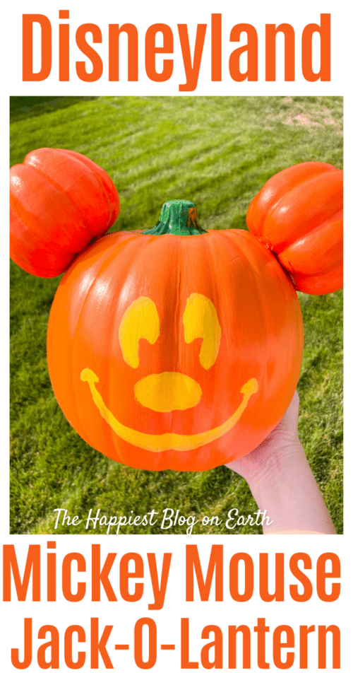 Diy disneyland mickey jack