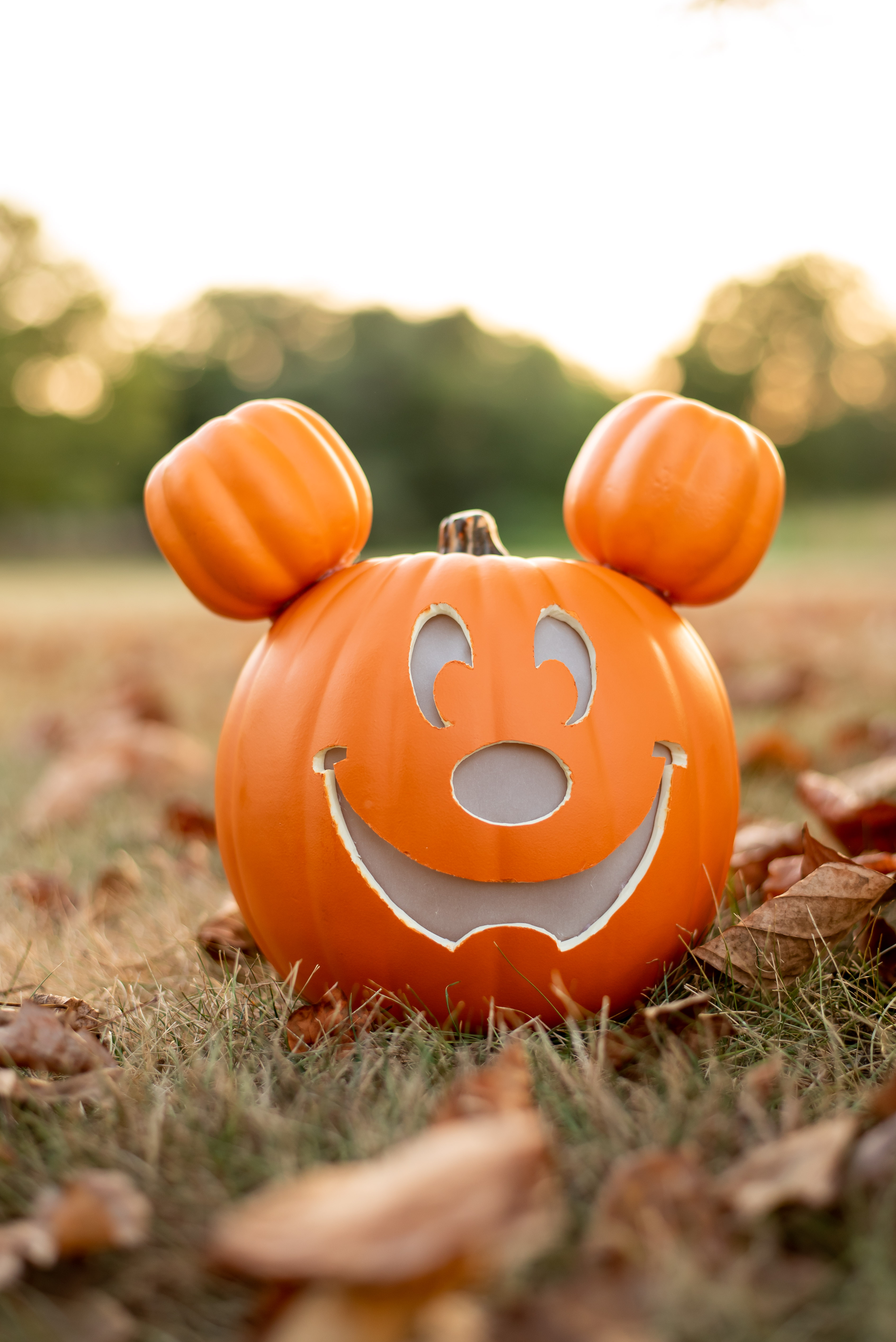 Diy mickey mouse pumpkin from main street free stencil