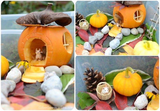 Little house in the pumpkin