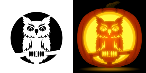 Whimsical owl pumpkin stencil for your halloween decor
