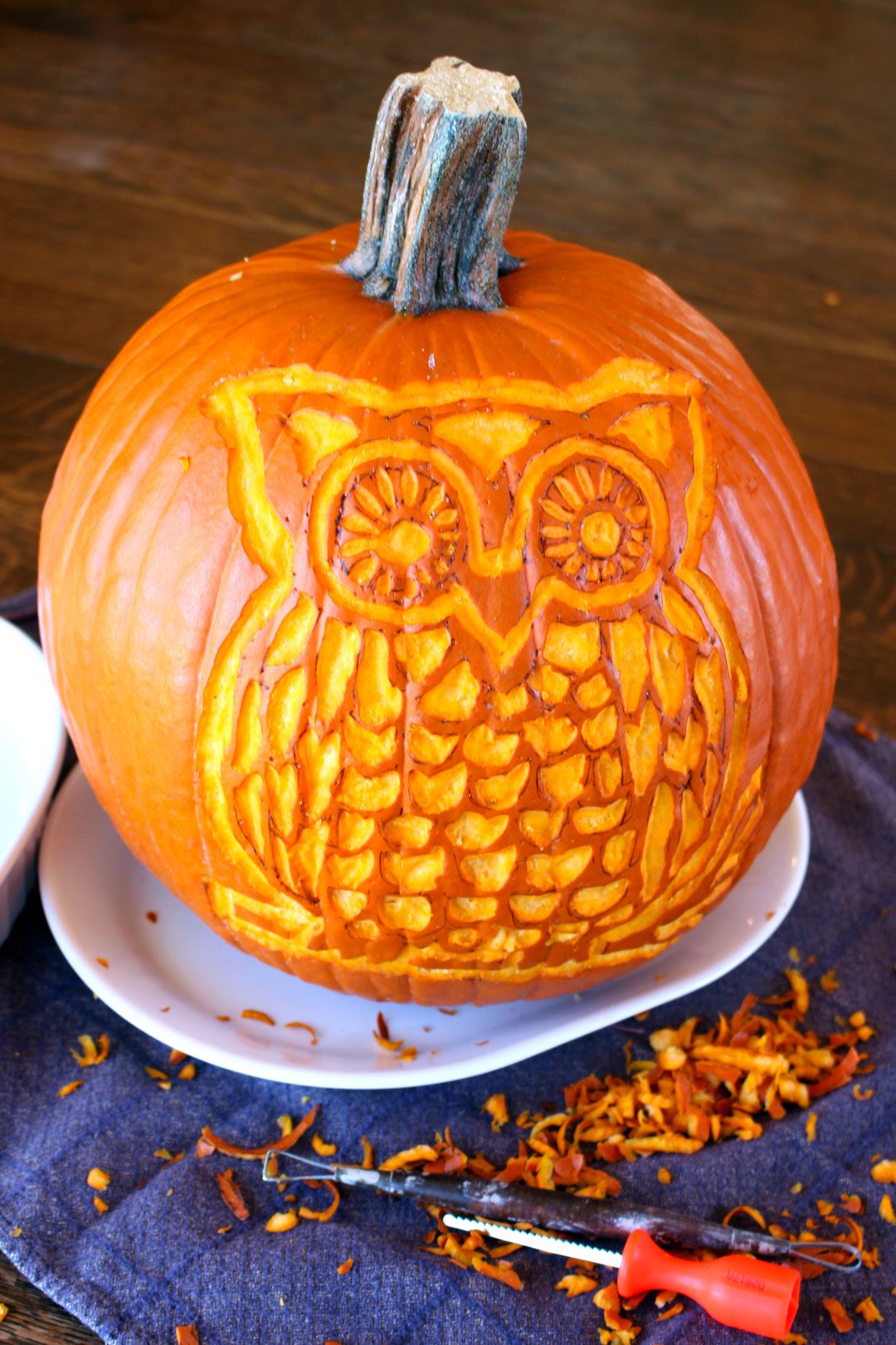 Woodland owl pumpkin carving deluxe