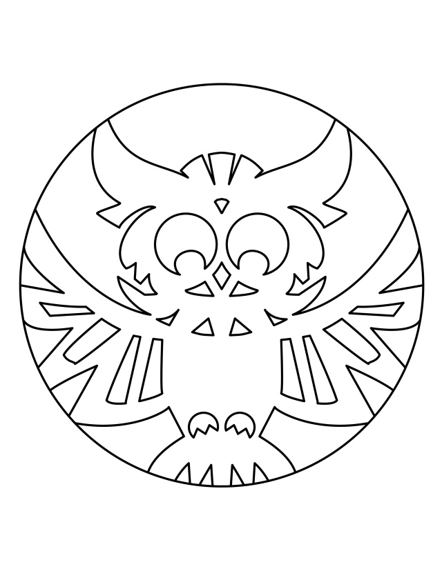 Aditi raychoudhury owl pumpkin carvingcoloring template adobe illustrator â lunaspace