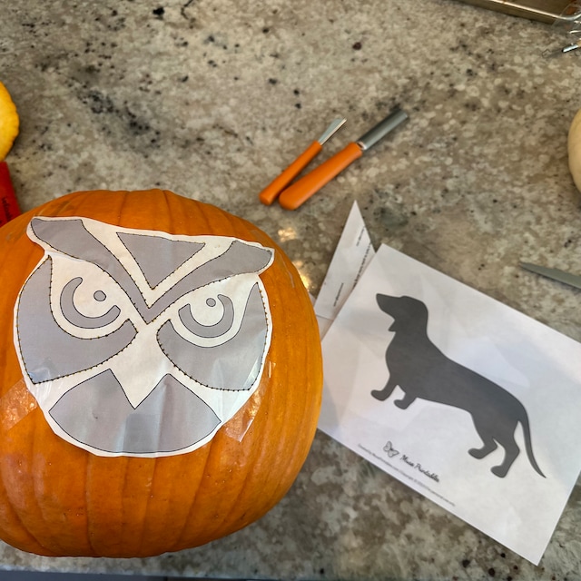 Printable owl face pumpkin carving stencil halloween pumpkin carving template owl pumpkin carving